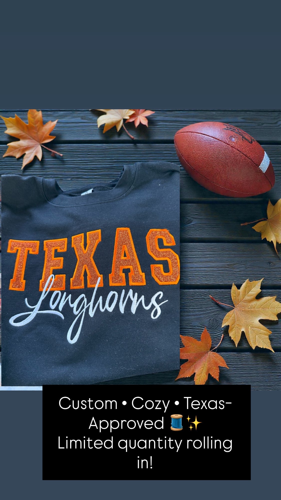 Texas Longhorn Glitter Appliqué Sweatshirt