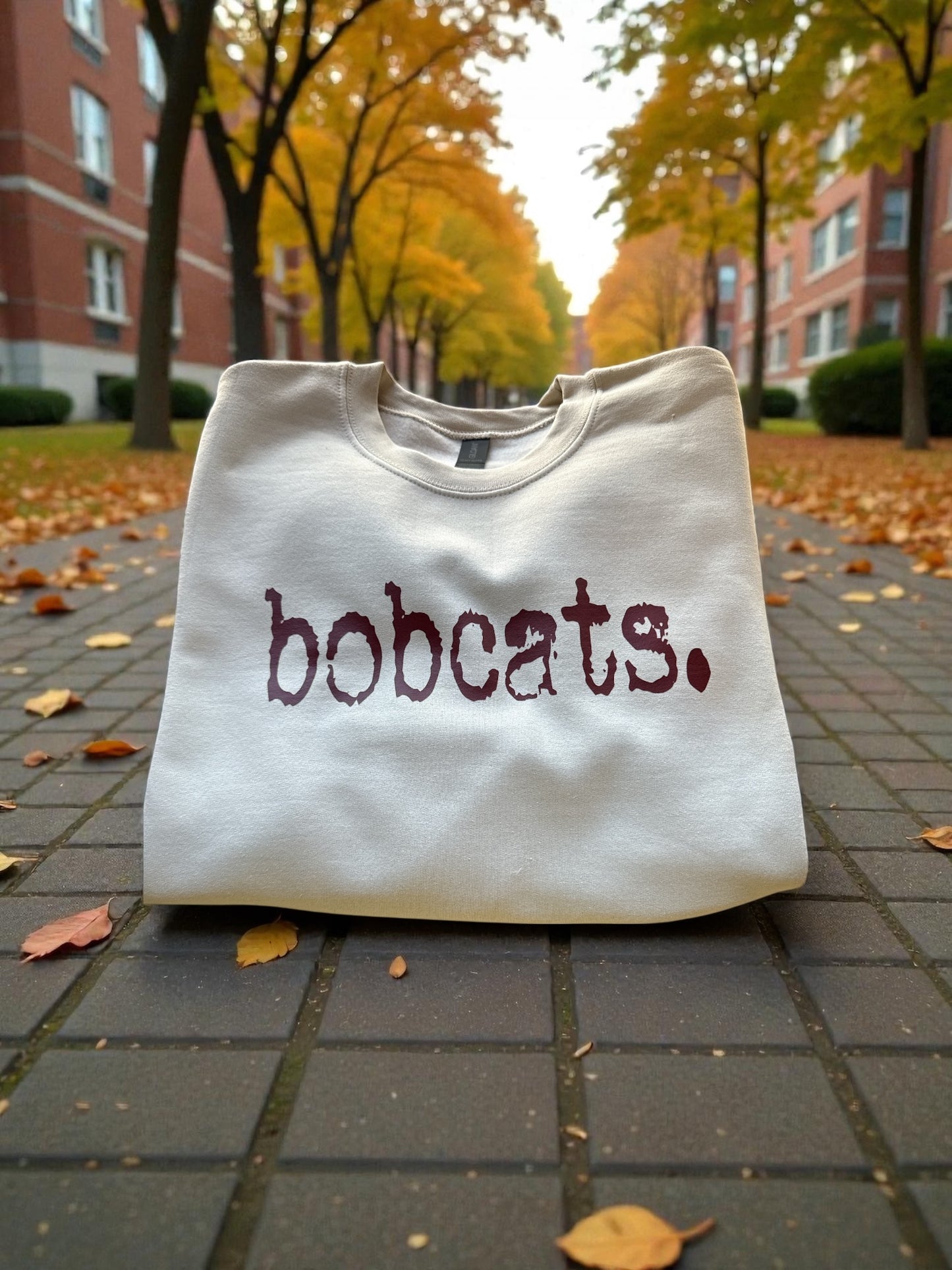 Bobcats Typography Sweatshirt